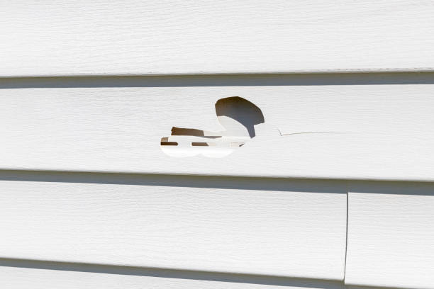 Best Siding Painting and Refinishing  in Aberdeen, NC