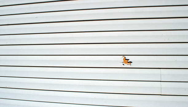 Best Custom Trim and Detailing for Siding  in Aberdeen, NC