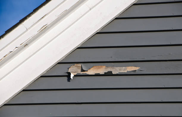Best Historical Building Siding Restoration  in Aberdeen, NC